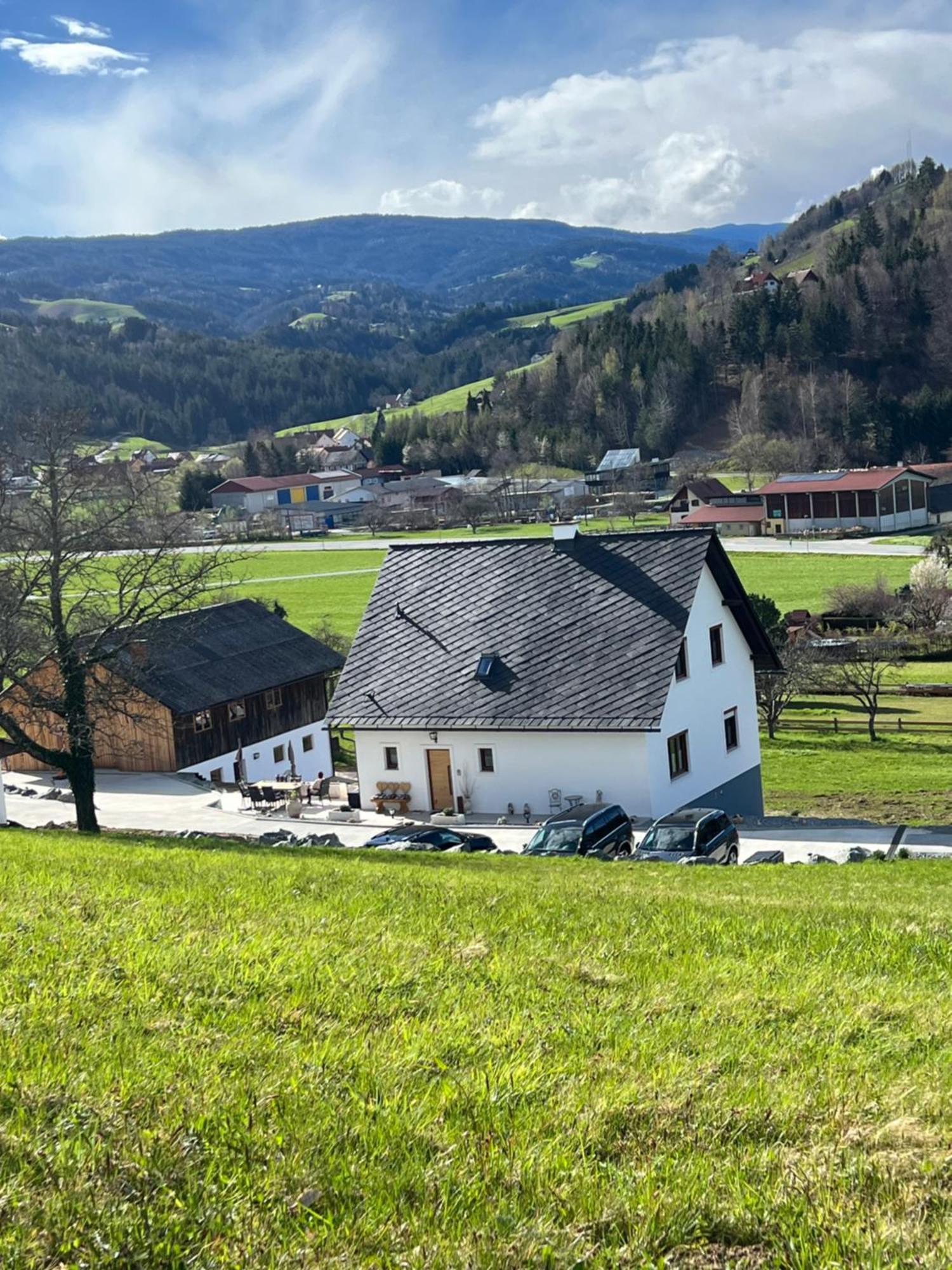 Sonnenschein Appartement- Und Ferienhaus Mit Terrasse Und Garten Eibiswald Exterior photo